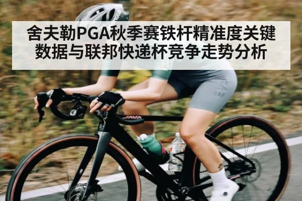 舍夫勒PGA秋季赛铁杆精准度关键数据与联邦快递杯竞争走势分析