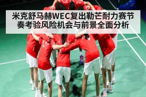 米克舒马赫WEC复出勒芒耐力赛节奏考验风险机会与前景全面分析